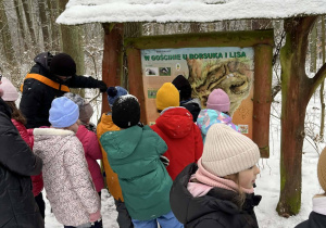 Dzieci zgromadzone przed jedną z tablic dydaktycznych umieszczonych w lesie, słuchające informacji na temat życia borsuków i lisów.