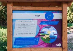 Tablica dydaktyczna z informacjami o wodzie umieszczona przy oczku wodnym.