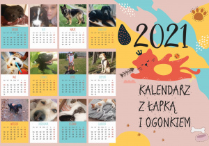 Zdjęcie przedstawia kalendzarz na rok 2021. Do każdego miesiąca przypisane jest zdjęcie pupila wraz z opiekunem.a
