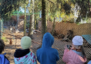 Dzieci stojące przy zagrodzie ptactwa domowego. Za siatką gęsi i różne gatunki kur.