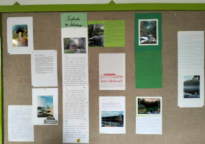 Zdjęcie prac uczniów umieszczonych na tablicy korkowej. Prace zawierają zdjęcia i opisy fotografowanych miejsc.