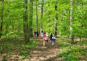 Dzieci z 1b idące leśną ścieżką, wokół pięknie zielony los