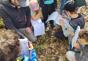 Pracowni ośrodka ekologicznego pokazujący dzieciom jeden z gatunków wiosennych kwiatów, dookoła niego dzieci uzupełniające kartę pracy.