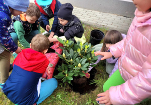 Dzieci sadzące rośliny.
