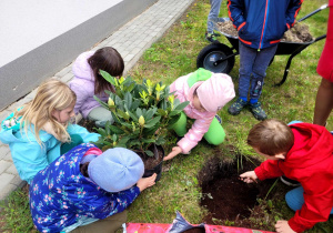 dzieci przygotowujące podłoże do wsadzenia rośliny.
