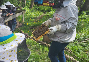 Pani pszczelarz pokazuje dzieciom ramkę wyjętą z ula na której siedzą pszczoły.