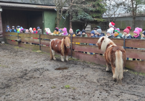 Dzieci zgromadzone wokół zagrody z kucami.