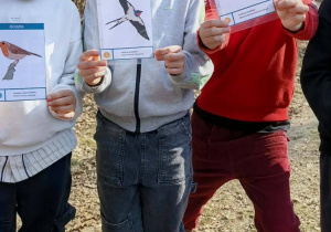 Trzech uczniów z klasy trzeciej prezentujących karty z wizerunkami ptaków.