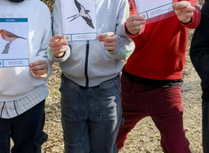 3b zaczyna projekt o wiośnie