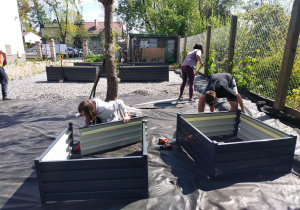Społeczność szkolna pracująca przy składaniu skrzyń ogrodowych , układająca tkaninę ogrodową oraz wysypująca kamienie.