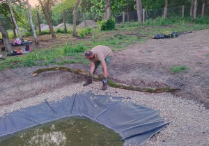 Mężczyzna aranżujący fragment ogrodu z oczkiem wodnym.